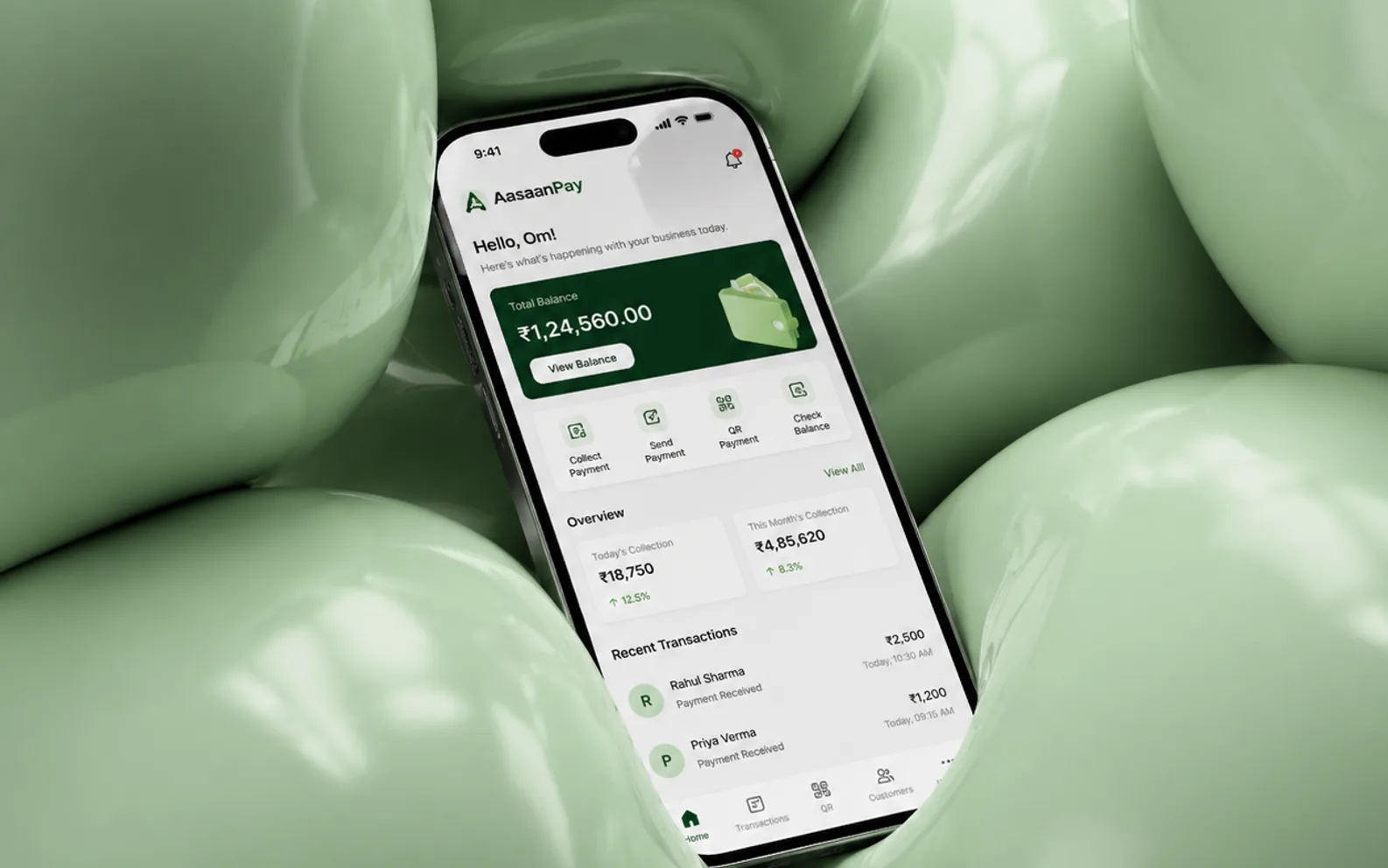 AasaanPay frontend project preview